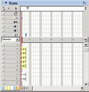 Macromedia Director MX -  
