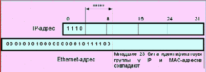  IGMP     
