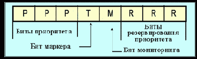 IEEE (Token Ring)