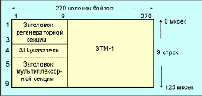   SDH/SONET