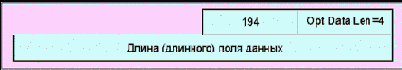   Hop-by-Hop (  )