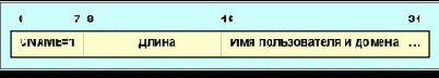     RTCP