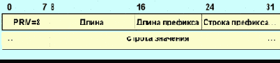     RTCP