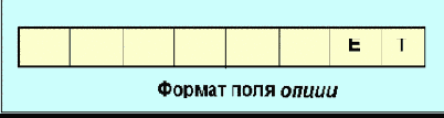  OSPF ( )