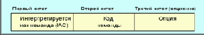   (Telnet)