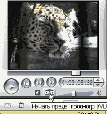   DVD-