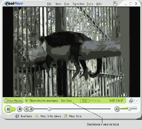    RealVideo
