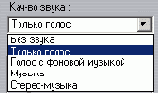    RealVideo